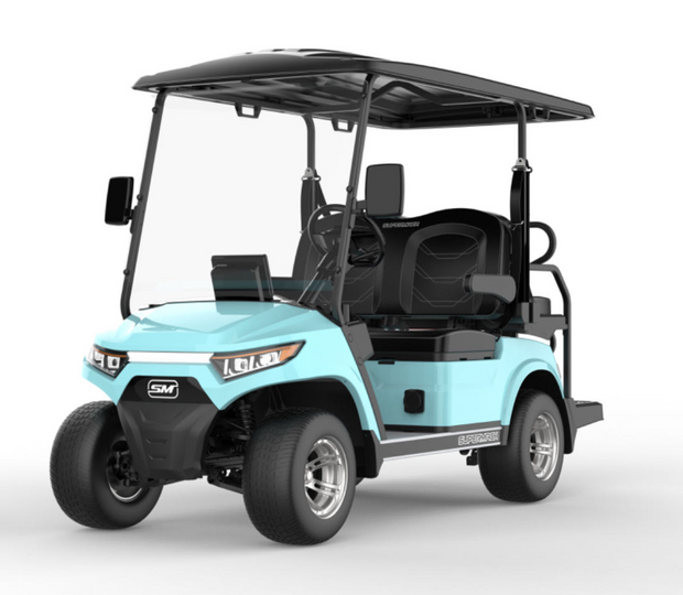 *NEW* 2-SEATER ELECTRIC GOLF CART