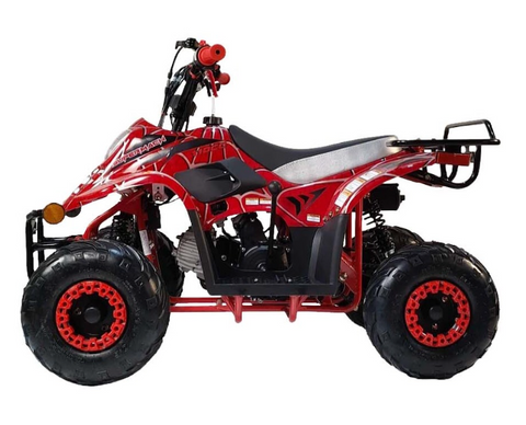 Supermach ATV CT110-2R with Reverse