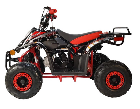 Supermach ATV CT110-2R with Reverse