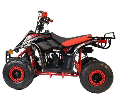 Supermach ATV CT110-2R with Reverse